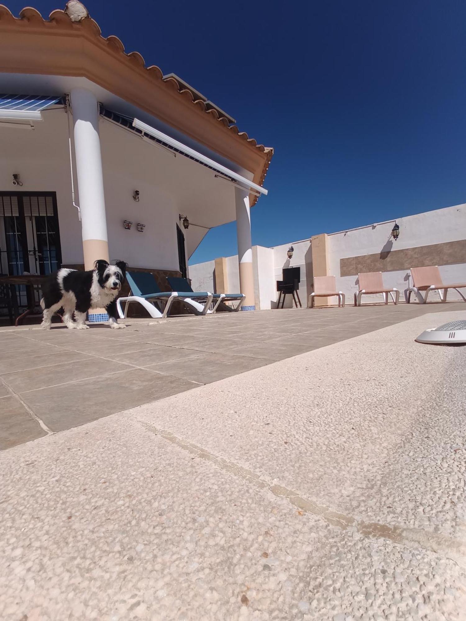 Bonita Casita Luz Del Sol Villa Arboleas Buitenkant foto